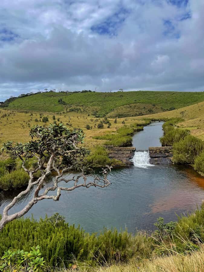Nuwara Eliya: Horton Plains Guided Hike with Lunch - Practical Details & Tips