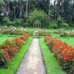 Nuwara Eliya: Private City Tour by Tuk Tuk - The Itinerary in Detail