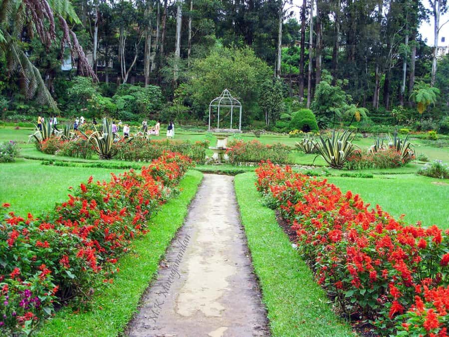 Nuwara Eliya: Private City Tour by Tuk Tuk - The Itinerary in Detail