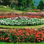 Nuwara Eliya Private Day Trip from Mirissa - Practical Tips for Your Trip