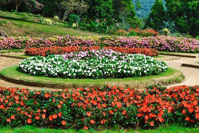 Nuwara Eliya Private Day Trip from Mirissa - Practical Tips for Your Trip