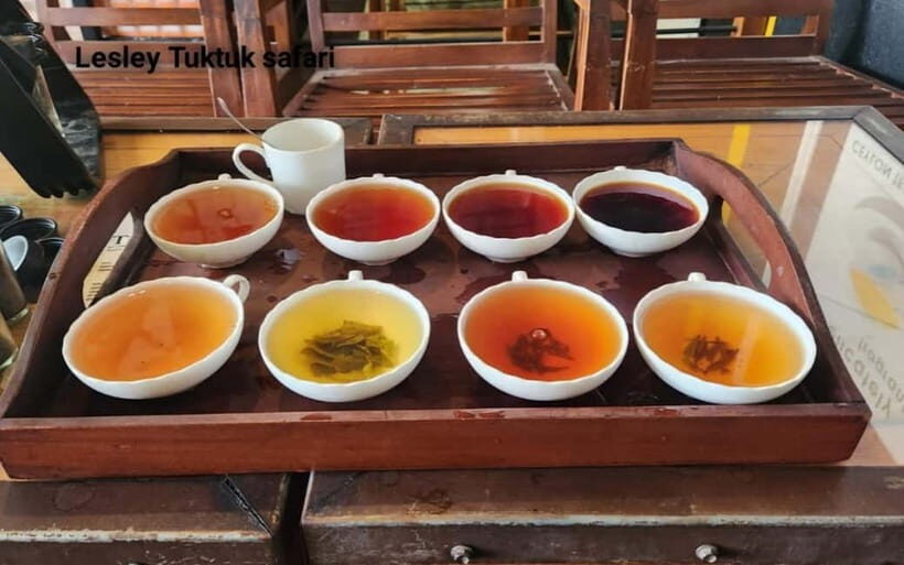 Nuwara Eliya: Sightseeing Tour and Drop With Local Guide - Who Is This Tour Best Suited For?