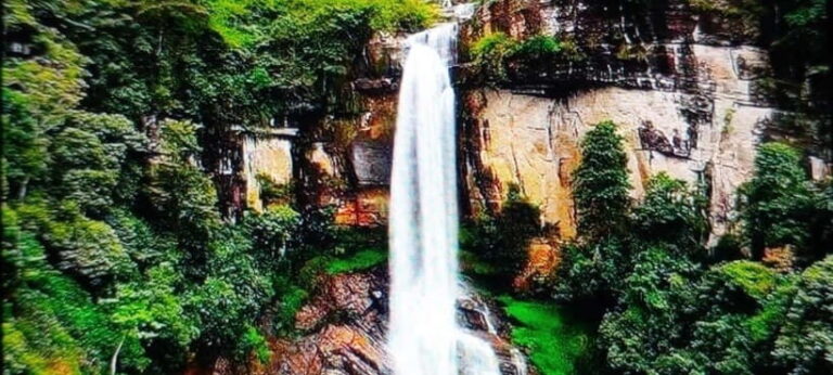 Nuwara Eliya Tuk Tuk Tour Little England - What to Expect During Your Tour