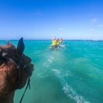 Ochi Ultra Pass ATV Cave Horse Ride and Catamaran Adventure - Practical Details: What You Need to Know