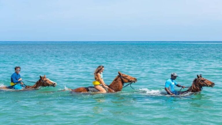 Ocho Rio: Dunns River Falls, Rafting, Horses & Ziplines Tour - Sightseeing & Shopping Moments