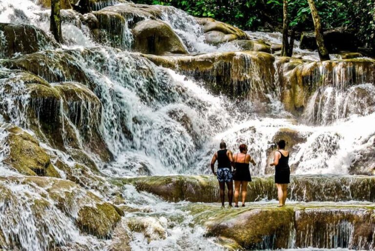 Ocho Rios: Dunn's River Falls Tour from Ocho Rios - Who Will Love This Tour?