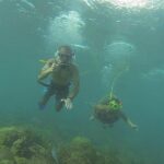 OCTOPUS DIVING (hookah diving) NO Experience Needed - What Reviewers Say