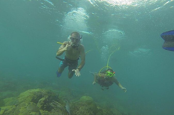 OCTOPUS DIVING (hookah diving) NO Experience Needed - What Reviewers Say