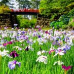 Odawara: Guided Ninja & Samurai Tour of Odawara Castle - Practical Details and Tips