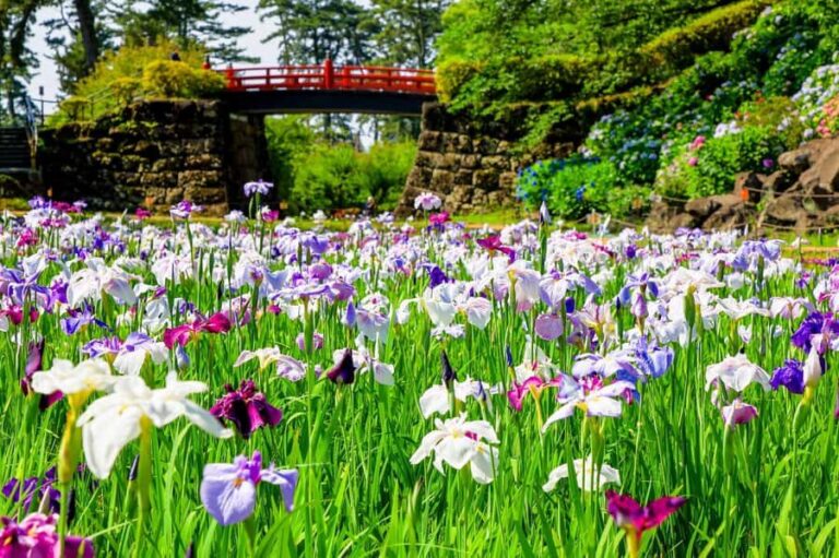 Odawara: Guided Ninja & Samurai Tour of Odawara Castle - Practical Details and Tips