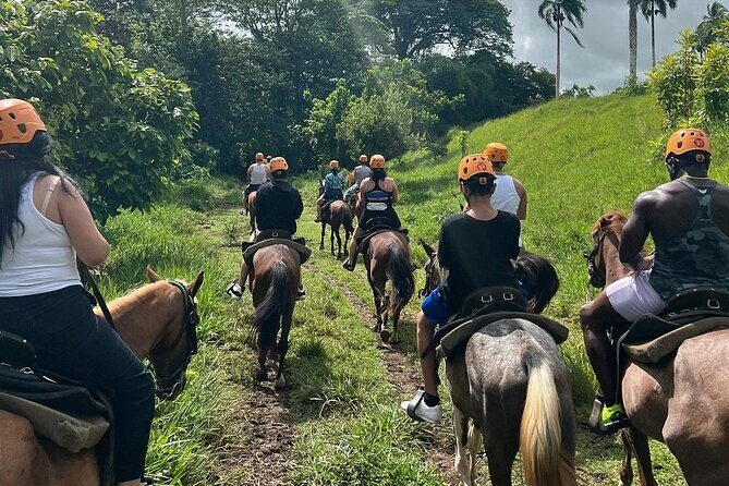 Off Road Punta Cana Jeep Safari Adventure Tour - What Travelers Say: Insights from Actual Reviews