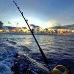 Offshore fishing around the Teahupo'o wave - Practical Tips for Your Trip
