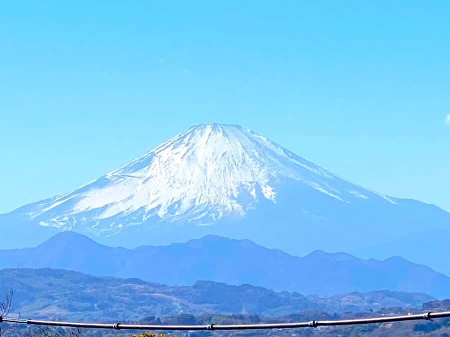 Oiso: Adventure Hike to See Mt. Fuji & Historic Coastal Walk - Practical Considerations