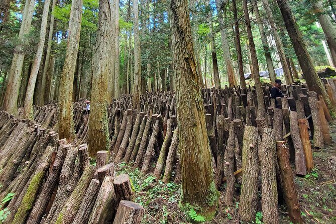 Oita: Shiitake Mushroom Farm Tour & Tasting - Transportation, Group Size, and Practicalities