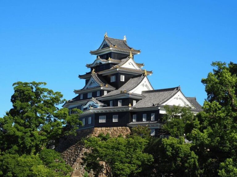 Okayama Castle Admission Ticket - The Full Breakdown of the Okayama Castle Visit