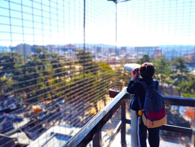 Okazaki: Tour of the Birthplace of Japans Greatest Shogun - Who Will Enjoy This Tour?