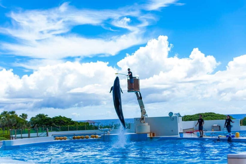 Okinawa: Aquarium, Kouri Island, & American Village Bus Tour - Practical Details and What to Expect