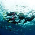 Okinawa Blue Cave Boat Snorkeling in Onna village| 8 Perks - In-Depth Itinerary Breakdown
