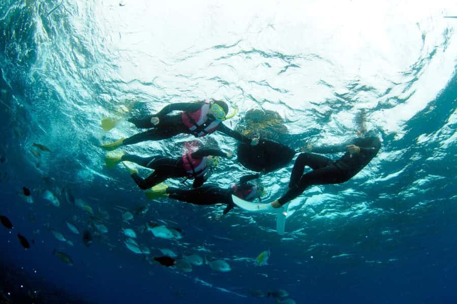 Okinawa Blue Cave Boat Snorkeling in Onna village| 8 Perks - In-Depth Itinerary Breakdown