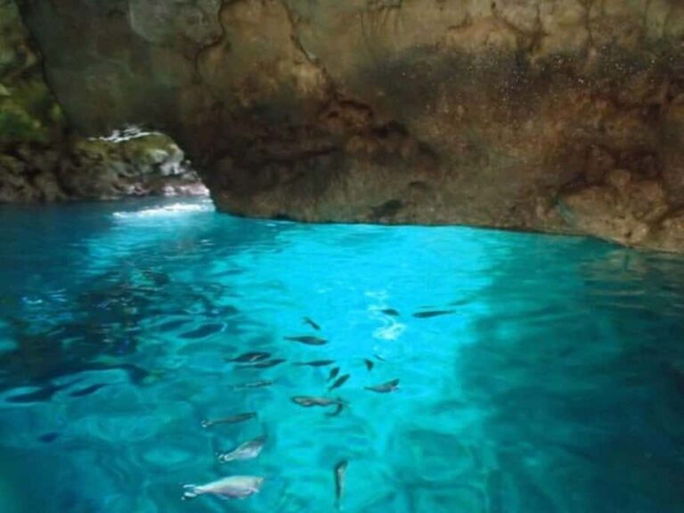 Okinawa: Blue Cave Freediving Tour with GoPro Photos - Final Thoughts