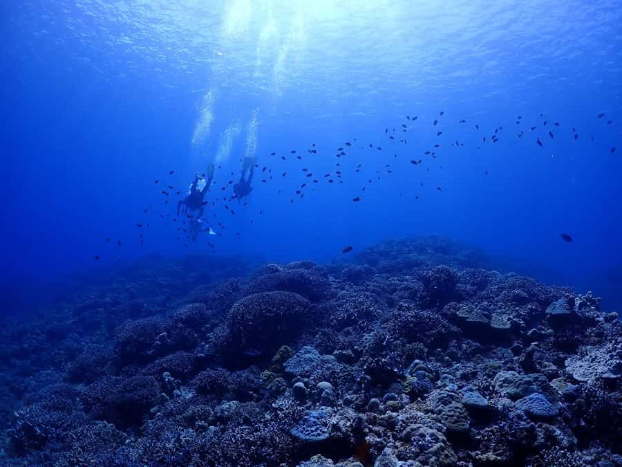 Okinawa: Boat Fun Diving at Minna, Sesoko or Motobu - Transition to Minna Island