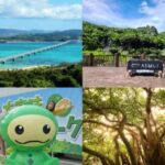 Okinawa: Bus Tour to Yanbaru National Park and Kouri Island - Who Will Love This Tour?