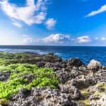 Okinawa: Bus Tour to Yanbaru National Park and Kouri Island - Itinerary Breakdown: What to Expect
