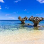 Okinawa: Churaumi Aquarium, Manzamo, Kouri Island Tour - Why This Tour Is a Strong Choice