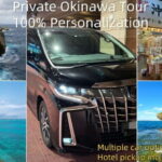 Okinawa Classic Highlights & Flexible Routes: Private Tour - How the Tour Is Structured