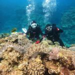 Okinawa: Discover SCUBA Diving at Minna, Sesoko or Motobu - The Sum Up