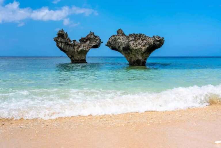 Okinawa Full Tour: Castle, Manza, Kouri, Aquarium & American - Shurijo Castle: The Heart of Okinawa’s Heritage