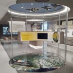 Okinawa: Guided Voices from Life Alongside Kadena Air Base - Practical Details and What to Expect