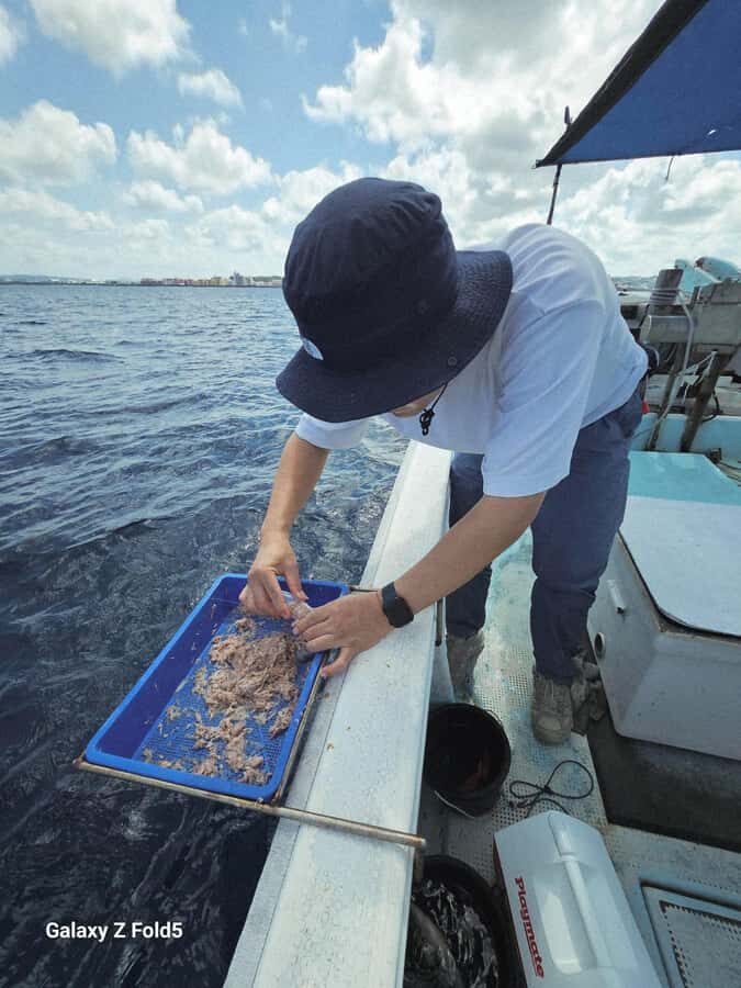 Okinawa: Half-Day Fishing Trip with Local Fisherman - An In-Depth Look at the Okinawa Fishing Trip