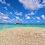 Okinawa Iriomotejima Night Adventure Tour - Who Will Love This Tour?