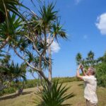 Okinawa Ishigaki Island Private Tour - The Itinerary Breakdown: What You Can Expect