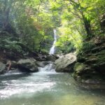 Okinawa: Jungle Trails & Waterfalls Native-English Private - Who Is This Tour Best For?