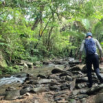 Okinawa: Jungle Trails & Waterfalls Native-English Private - Exploring Okinawa’s Jungle Trails & Waterfalls