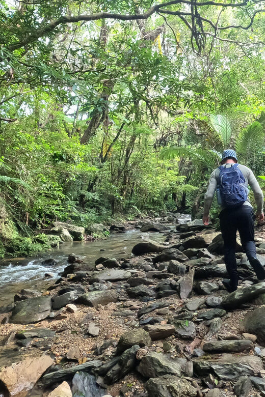 Okinawa: Jungle Trails & Waterfalls Native-English Private - Exploring Okinawa’s Jungle Trails & Waterfalls