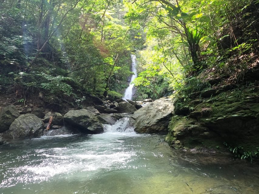 Okinawa: Jungle Trails & Waterfalls Native-English Private - Who Is This Tour Best For?