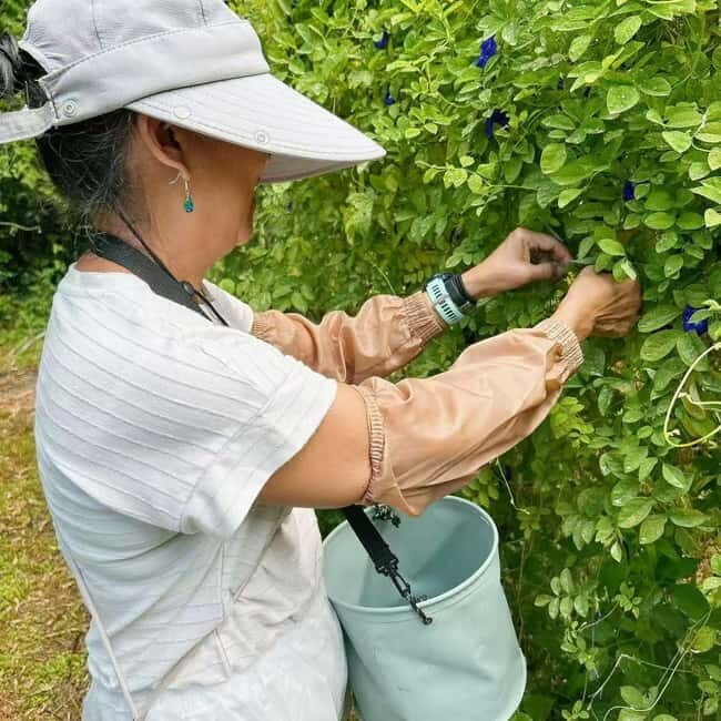 Okinawa: Making Traditional Seasoning 'Kusu' with Lunch - Why This Tour Works