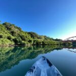 Okinawa: Mangrove Kayak Tour with Guide - Why This Tour Offers Great Value