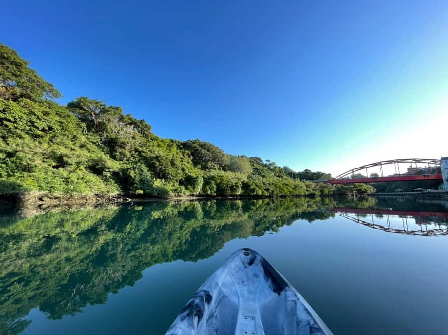 Okinawa: Mangrove Kayak Tour with Guide - Why This Tour Offers Great Value