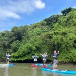 Okinawa: Mangrove SUP Tour with Photos - What to Expect on the Tour
