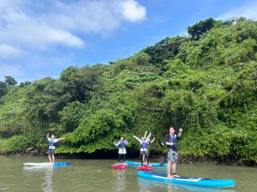 Okinawa: Mangrove SUP Tour with Photos - What to Expect on the Tour