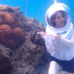 Okinawa MarinSportsSeaWalk in Onna village (free benefits) - Walking on the Ocean Floor: What You’ll See