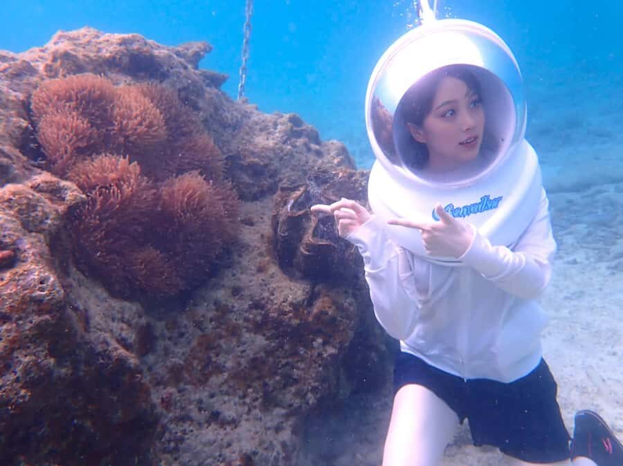 Okinawa MarinSportsSeaWalk in Onna village (free benefits) - Walking on the Ocean Floor: What You’ll See