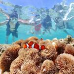 Okinawa Miyakojima: Snorkel Tour with Sea Turtle & Nemo - The Itinerary: What to Expect