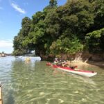 Okinawa: Private Full Circle Island Kayak Tour in English - What To Expect and Practical Details