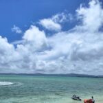 Okinawa: Private Kouri Island, Aquarium & Castle Guided Tour - Practical Details and What to Expect