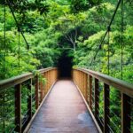 Okinawa: Private Photo & Sightseeing Adventure with a Local - Discovering Okinawa with a Local Guide
